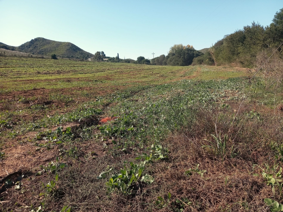 Commercial Property for Sale in George Rural Western Cape